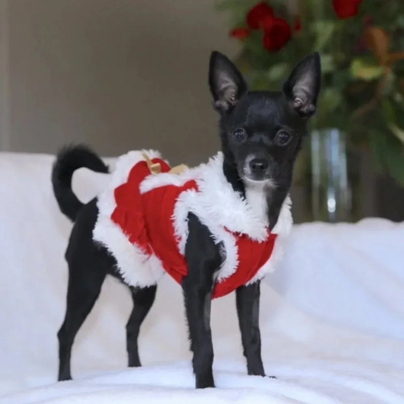 Santa Christmas dress - Picture 1 of 2